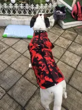 Vest Coat Jacket Pet-Dog-Clothes French-Bulldog-Pet Dogs Small Waterproof Large Winter