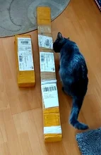 Aqara inteligente cortina Motor con cortina pista Mijia aplicación remota Control motorizado eléctrico sistema ferroviario para casa inteligente