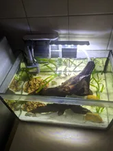 Lighting Aquarium-Lamp Fish-Tank-Light LED High-Brightness Super-Slim Ultra-Thin