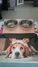 Double Bowls Pet dog cat Feeding Station Stainless Steel Water Food Bowls Feeder Solution