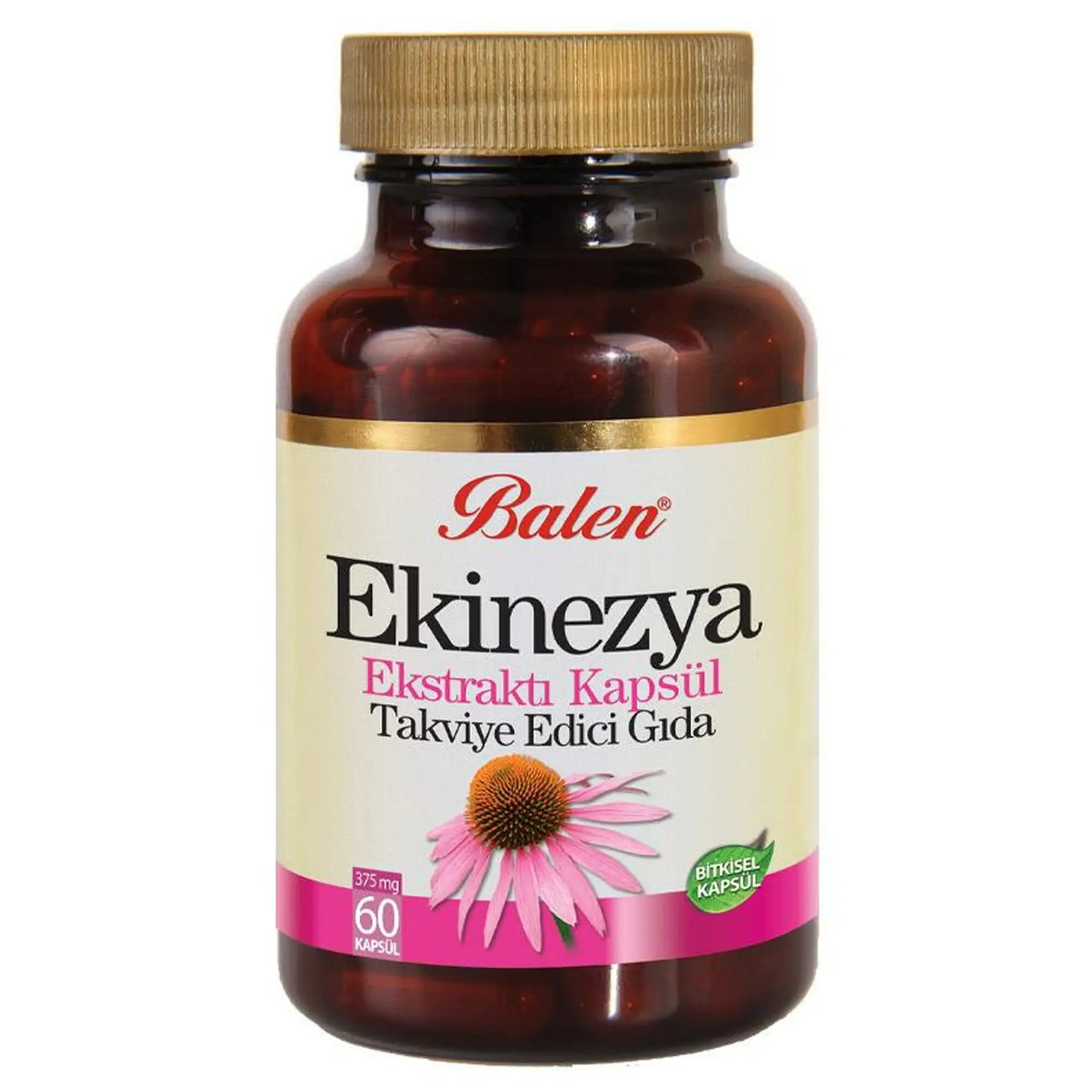 Echinacea Extract Capsule 375 mg Vitamin C-Rich Content Reinforcing the Food | Красота и здоровье