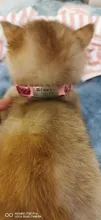 Colgante de campana de lentejuelas de nailon de colores collar ajustable para perro y gato, collar para cachorro y gatito con hebilla, accesorios para gatos, suministros para mascotas, 1 ud.