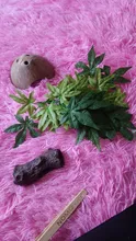 Decoration Terrarium-Rattan Lizards Geckos Reptile-Plants Habitat Fake-Leaves Plastic