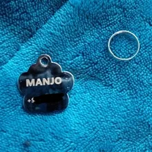 Pendant Pet-Accessories Engraved Dog-Cat-Tags Name-Collar Dog Puppy Paw Personalized