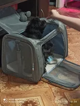 Dog-Carrier-Bag Travel-Bags Dog-Backpack Transport Soft-Side Airline-Approved Cats Small