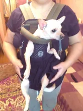 Backpack Carrier Cat-Accessories Front-Chest-Holder Chihuahua Puppy Large-Bags Pet-Dog