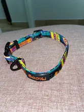 Nylon Printed Dog Collar Adjustable Puppy Small Dogs Collar Pet Collars for Chihuahua