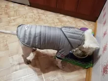 Small Dog Clothes Winter Warm Pet Dogs Coat Jacket Puppy Cat Outdoor Clothing Hoodies