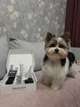 Dog Clipper Shaver-Machine Pet-Hair-Trimmer Grooming Electric Professional Rechargeable