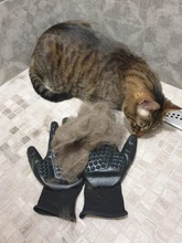 Gato de masaje de piel de caballo y perro, limpieza de baños, depilación flotante, guantes, herramienta de Limpieza del cabello, nuevos productos