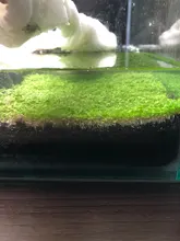 SPONGE-FILTER Aquarium Shrimp-Pond Fish-Tank Air-Pump-Biochemical