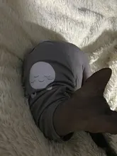 Cartoon Cat Costume Cute Cozy Pet Clothes for Cats Katten Kedi Hoodie Mascotas Mascotas