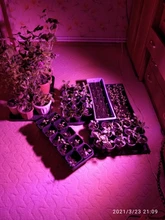 Phyto-Lamp Floodlight Greenhouse-Plant-Hydroponic-Plant Outdoor Full-Spectrum 220V 50w Led