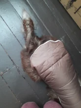 Ropa de invierno cálida para perros, chaleco reflectante para cachorros, chaqueta polar cómoda para mascotas, abrigo para perros pequeños, medianos y grandes, 2020