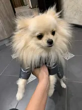 Ropa de invierno para perros pequeños, abrigo cálido para cachorros, chaqueta impermeable con capucha, monos para Chihuahua y Yorkie