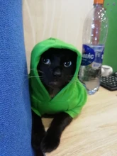 Cat Clothes Pet Cat Coats Jacket Hoodies For Cats Outfit Warm Pet Clothing Rabbit Animals