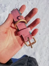 Dog-Collar Id-Plate Engraved Dogs Pitbull Custom Personalized Padded with Tag 2-Layers