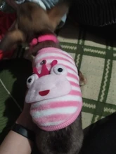 Clothing Puppy-Vest Dog-Coat Pet-Cat-Clothes French-Bulldog Small Dogs Chihuahua Winter