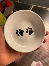 Hedgehog-Bowl Dish Snack-Plate Chinchilla Ceramics Small Cat Cute Cartoon Squirrel Saucer-Shape