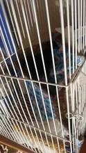 Hamaca de Mascota de doble capa de felpa suave invierno cálido nido colgante cama para dormir mascotas pequeñas Hamster ardilla Casa de Chinchilla