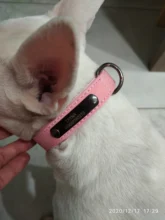 Collar Pet-Products Puppy Engraved French Bulldog Small Dogs Custom Personalized Pug