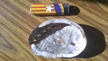 Soap-Dish Seashell Jewelry Nautical-Decor Aquarium Beach 5-Sizes