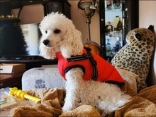 Vest Coat Jacket Harness Dog-Clothing French-Bulldog-Pet Dogs Small Waterproof Winter