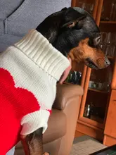 Suéter de dibujos animados para perros pequeños ropa cálida para mascotas de invierno, para Chihuahua, Yorkies, ropa para mascotas, traje de cachorro