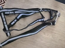 Arnés para perro o gato ajustable, reflectante, para gatos, exteriores, para perros pequeños, para caminar, Chihuahua, Terier