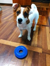 Chew Toy Ball Pet-Toy Rubber Dogs Sound Training Bite-Proof Squeak Funny Large for Big