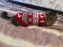 Pullover Pet-Clothing Puppy-Jacket Cat-Dog-Sweater Christmas Winter for Small Dogs Chihuahua