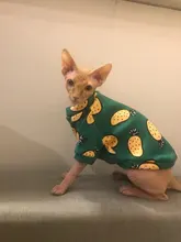 Cartoon Cat Hoodie Sweater Autumn Winter Pet Cat Clothes for Cats Katten Kedi Pullovers