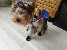 Boots Pet-Shoes Dog Large Waterproof Anti-Skid Small Winter Golden Warm Big 8-Sizes Wear-Resistant