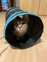 Pet-Cat-Toy Balls Tunnel-Tubes Crinkle Rabbit Play 2-Holes Puppy-Ferrets Dog Fold Collapsible