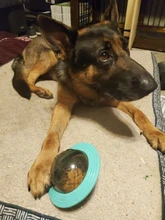 Juguetes Para Perros Dispener IQ, rompecabezas de entrenamiento de mascotas, Bola de comida para perros