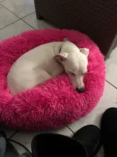 Camas redondas para gatos, casa de felpa suave y larga, La mejor cama de perro para canasta para perros, productos para mascotas, cojín, cama para gato, esterilla para animales, sofá para dormir