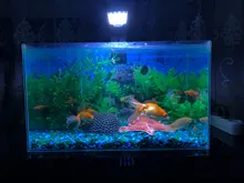 Aquarium-Light Led-Lighting Fish-Tank-Light Aquatic Clip-On 15W for 10W/15W