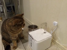 Source-Bowl-Feeder Drinker Fountain-Dispenser DOGS-FILTER Sensor Cats Automatic 3L Quiet