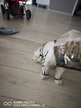 Jumpsuit Raincoat Pet-Cloak Teddy Waterproof-Jacket HOOPET Dogs Chihuahua for Small Cat