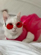 Dog-Dress Dogs-Skirt Princess Dog Summer Dot for York