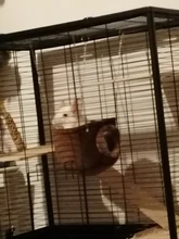 Small Animals Hammock House Guinea-Pig Rat Squirrel Chinchilla Snuggle Hanging Cave Hut