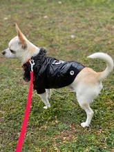 New Arrival Noble Pet Dogs Winter Vest Coat Fur Collar Russia Classic Dogs Clothing Soft