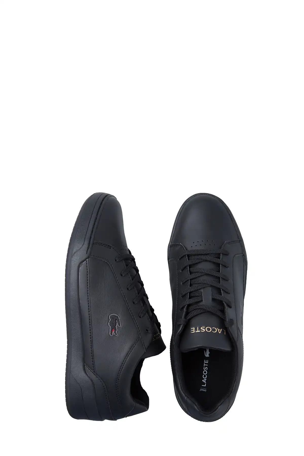 zapatos lacoste de vestir