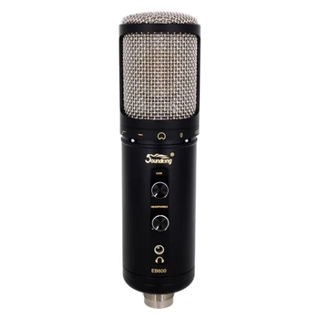

Eb600 microphone, Soundking