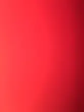 5pcs Plastic Fake Chicken Egg Simulation Poultry Layer Coop Hatching