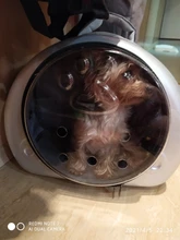 Bolsa de transporte portátil para perros y gatos, cápsula espacial transpirable, bolsa de viaje para astronauta, mochila transparente para mascotas pequeñas para exteriores