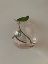 Transparent Glass Vase Flower-Pot Potted-Plant Wall-Hanging Terrarium-Fish-Tanks Hydroponic