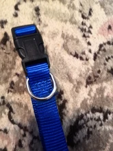 Adjustable Nylon Dog Collars Pet Collars Charm Necklace Collar For Dogs Cat Collars Pet