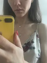 Collar de plata de ley 925 con Zirconia, Pez transparente Invisible, bisutería, S-N52