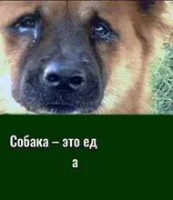 Conjunto de anillos circulares Punk para mujer, Hiphop/Rock, accesorios de dedo con índice de apertura, hebilla, anillo de cola de junta, joyería